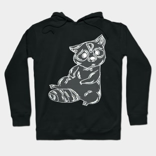 Bubble Racoon Hoodie